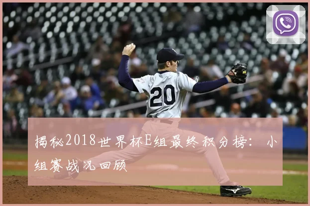 揭秘2018世界杯E组最终积分榜：小组赛战况回顾