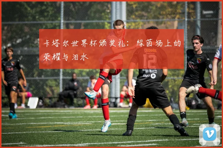 卡塔尔世界杯颁奖礼:绿茵场上的荣耀与泪水