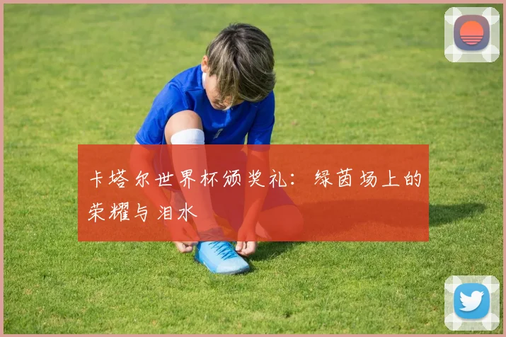 卡塔尔世界杯颁奖礼:绿茵场上的荣耀与泪水