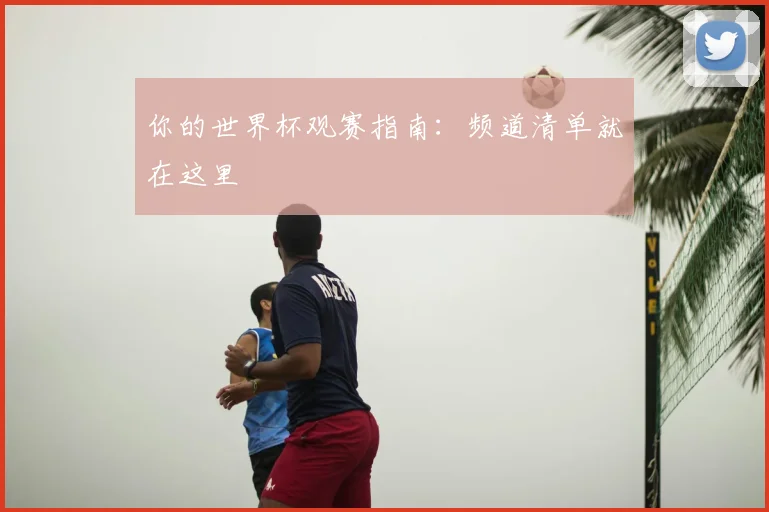 你的世界杯观赛指南：频道清单就在这里