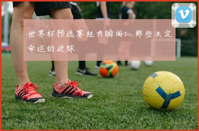 世界杯预选赛经典瞬间：那些决定命运的进球