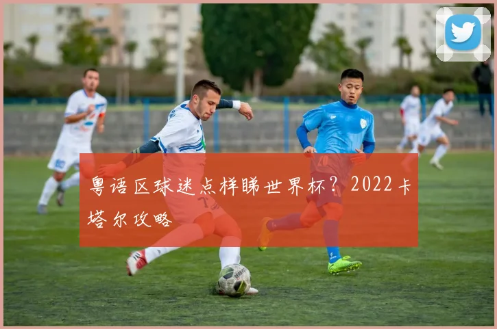 粤语区球迷点样睇世界杯？2022卡塔尔攻略